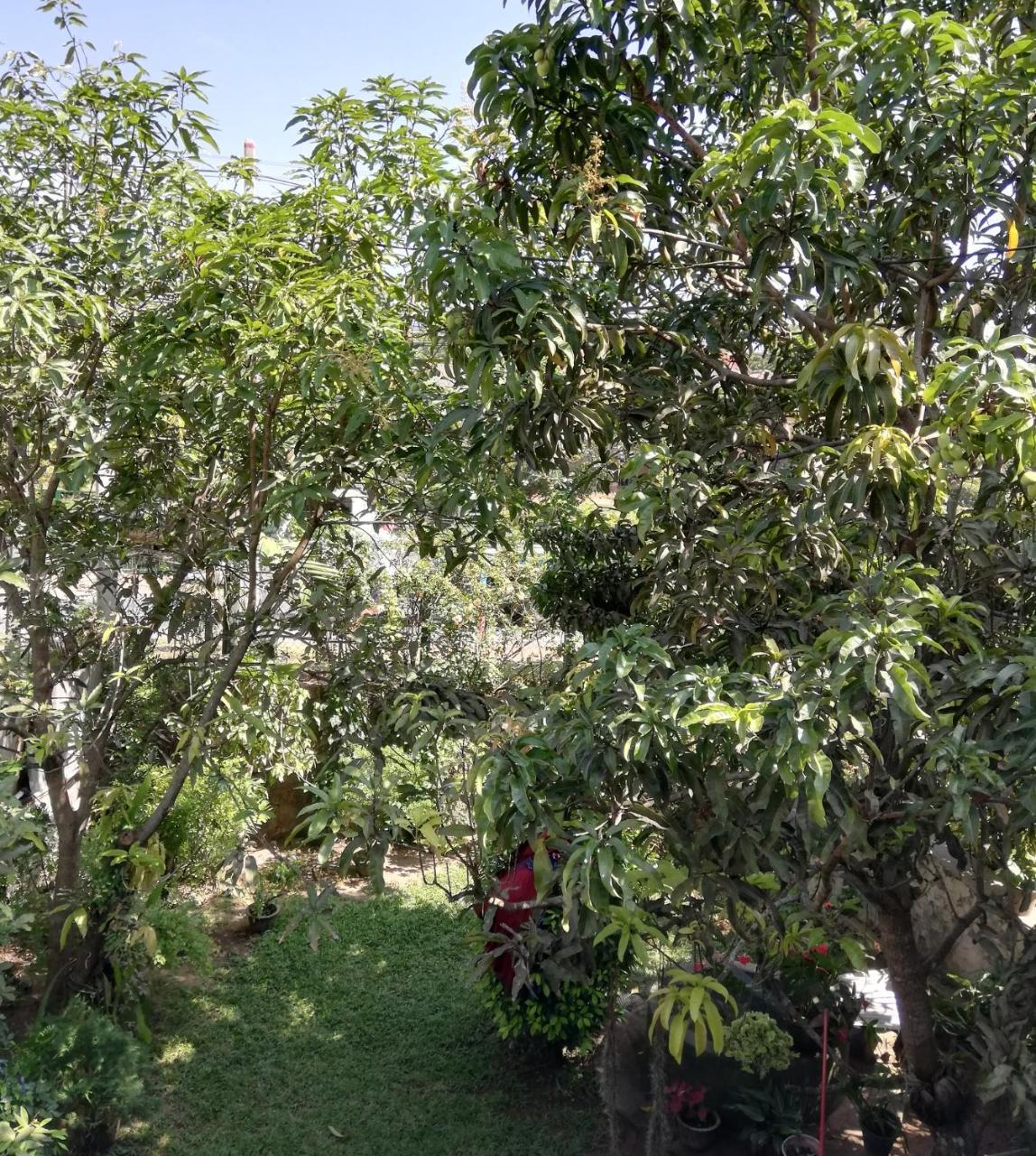 Nisadi Villa Bentota Ngoại thất bức ảnh